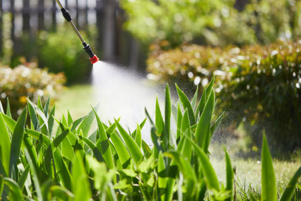 Tamper-Resistant Bait Stations for Rodents in Beachwood