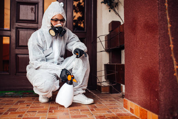 Attic and Crawl Space Rodent Treatment in Beachwood